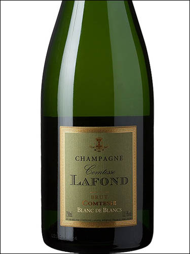 фото Champagne Comtesse Lafond Blanc de Blancs Brut Шампанское Комтесс Лафон Блан де Блан Брют Франция вино белое