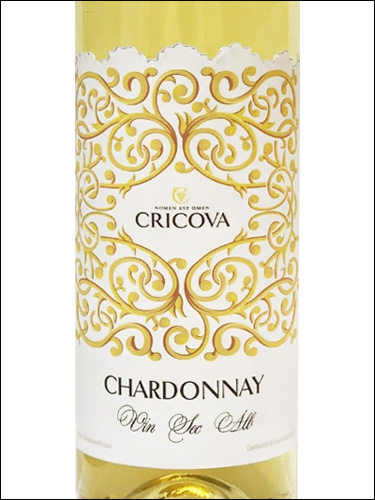 фото Cricova Chardonnay Ornament Sec Крикова Шардоне Орнамент Сек Молдавия вино белое