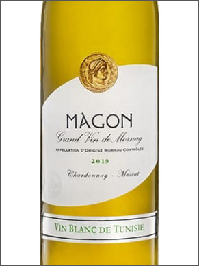 фото Magon Blanc Магон Блан Тунис вино белое