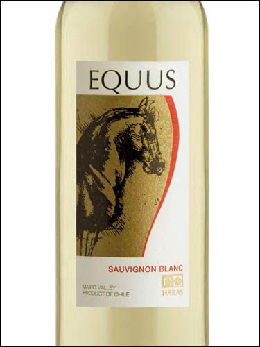 фото EQUUS Sauvignon Blanc Экус Совиньон Блан Чили вино белое