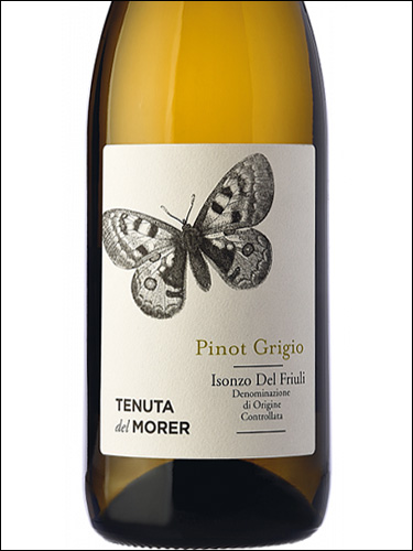 фото Tenuta del Morer Pinot Grigio Тенута дель Морер Пино Гриджио Италия вино белое