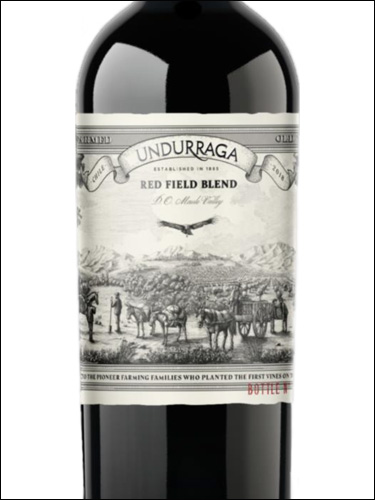 фото Undurraga Red Field Blend Maule Valley DO Ундуррага Ред Филд Бленд Долина Мауле Чили вино красное