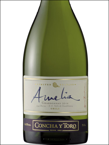 фото Concha y Toro Amelia Chardonnay Casablanca DO Конча и Торо Амелия Шардоне Долина Касабланка Чили вино белое