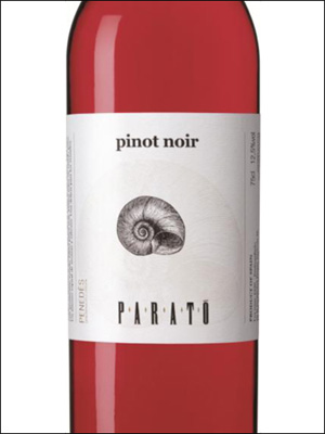 фото вино Parato Rosat Pinot Noir Ecologic Penedes DO 