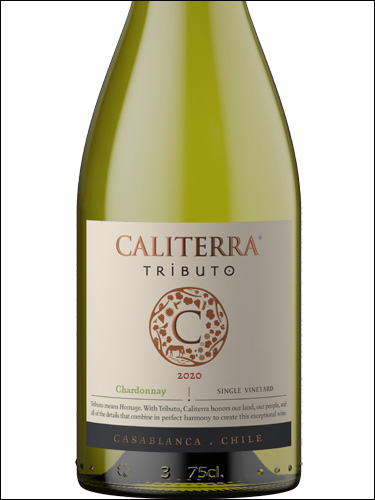 фото Caliterra Tributo Chardonnay Valle de Casablanca Калитерра Трибуто Шардоне Долина Касабланка Чили вино белое