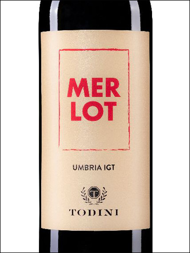фото Todini Merlot Umbria Rosso IGT Тодини Мерло Умбрия Россо Италия вино красное