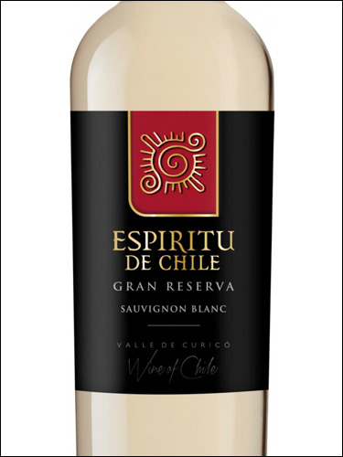 фото Espiritu de Chile Cran Reserva Sauvignon Blanc Valle de Curico DO Эспириту де Чили Гран Резерва Совиньон Блан Долина Курико Чили вино белое