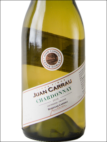 фото Juan Carrau Cepas Nobles Chardonnay Хуан Каррау Сепас Ноблес Шардоне Уругвай вино белое