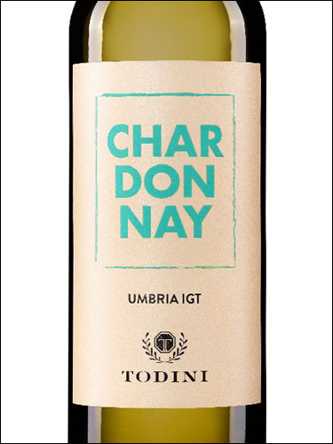 фото Todini Chardonnay Umbria IGT Тодини Шардоне Умбрия Италия вино белое