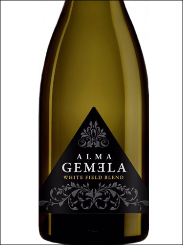 фото Alma Gemela White Field Blend Uco Valley Альма Хемела Вайт Бленд Долина Уко Аргентина вино белое