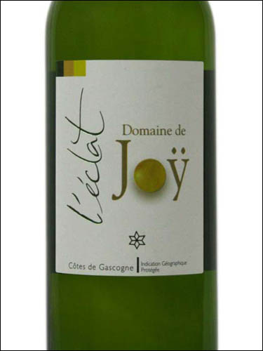 фото Domaine de Joy l'Eclat blanc sec Cotes de Gascogne IGP Домен де Жой л'Экла Блан Кот де Гасконь ИГП Франция вино белое