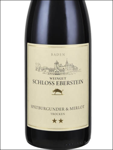 фото Schloss Eberstein Spatburgunder & Merlot Шлосс Эберштайн Шпетбургундер Мерло Германия вино красное