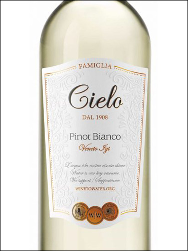 фото Cielo Pinot Bianco Чело Пино Бьянко Италия вино белое