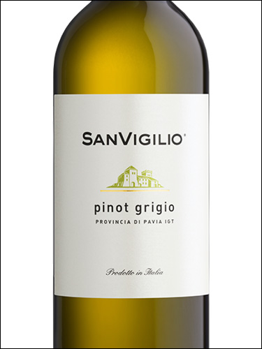 фото Sanvigilio Pinot Grigio Provincia di Pavia IGT СанВиджилио Пино Гриджио Провинция ди Павия Италия вино белое