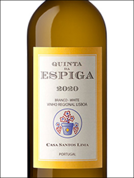 фото Quinta da Espiga Branco Vinho Regional Lisboa Кинта да Эшпига Бранку ВР Лиссабон Португалия вино белое