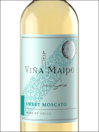 фото Vina Maipo Classic Series Sweet Moscato Винья Майпо Классик Сериес Свит Москато Чили вино белое
