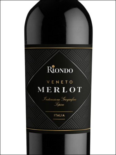 фото Riondo Merlot Veneto IGT Риондо Мерло Венето Италия вино красное