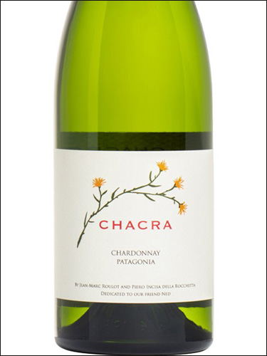 фото Chacra Chardonnay Patagonia Чакра Шардоне Патагония Аргентина вино белое