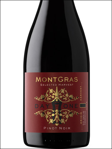 фото MontGras Day One Pinot Noir МонтГрас Дэй Ван Пино Нуар Чили вино красное