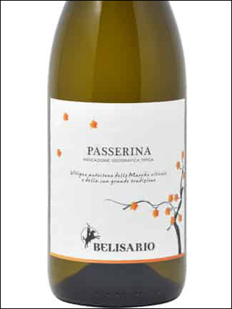 фото Belisario Passerina Marche Bianco IGT Белисарио Пассерина Марке Бьянко Италия вино белое