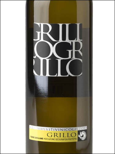 фото Tola Grillo Terre Siciliane IGT Тола Грилло Терре Сицилиане ИГТ Италия вино белое