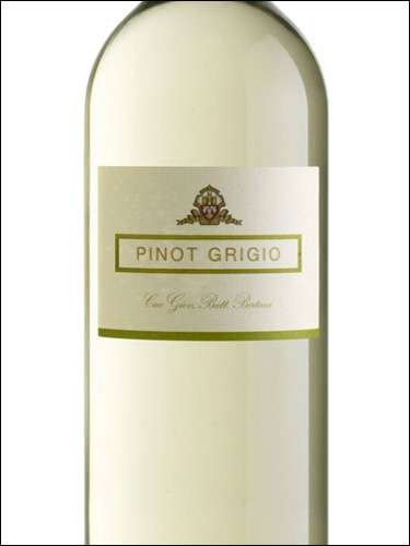 фото Bertani Linea Tradizione Pinot Grigio Veneto IGT Бертани Линеа Традиционе Пино Гриджио Венето Италия вино белое