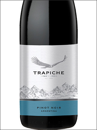 фото Trapiche Vineyards Pinot Noir Трапиче Виньярдс Пино Нуар Аргентина вино красное