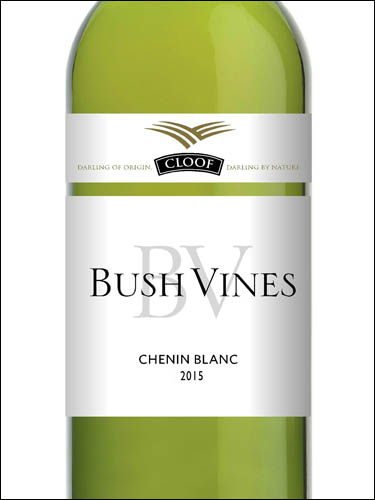 фото Cloof Bush Vines Chenin Blanc Darling WO Клуф Буш Вайнз Шенен Блан Дарлинг ЮАР вино белое