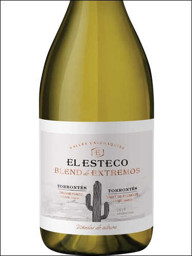 фото El Esteco Blend de Extremos Torrontes Torrontes Эль Эстеко Бленд де Экстремос Торронтес Торронтес Аргентина вино белое