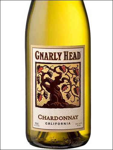 фото Gnarly Head Chardonnay California Ноули Хэд Шардоне Калифорния США вино белое