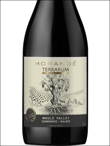 фото Morande Terrarum Patrimonial Carmenere-Malbec Maule Valley DO Моранде Террарум Патримониаль Карменер-Мальбек Долина Мауле Чили вино красное