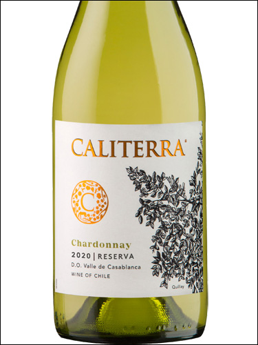 фото Caliterra Chardonnay Reserva Valle de Casablanca DO Калитерра Шардоне Ресерва Долина Касабланка  Чили вино белое