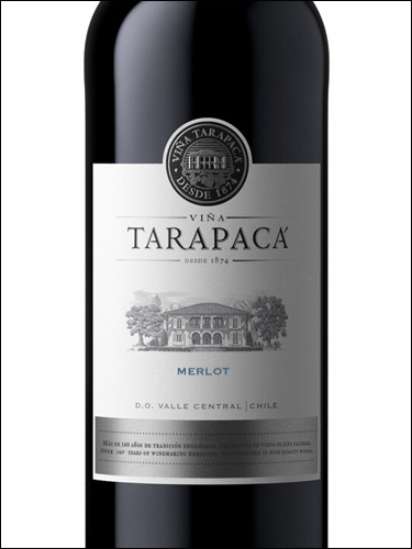 фото Vina Tarapaca Merlot Винья Тарапака Мерло Чили вино красное