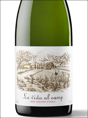 фото Cava La Vida al Camp Brut Кава Ла Вида аль Камп Брют Испания вино белое