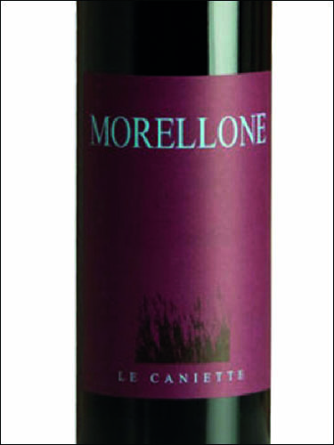 фото Le Caniette Morellone Rosso Piceno Superiore DOC Ле Каньетте Мореллоне Россо Пичено Супериоре Италия вино красное