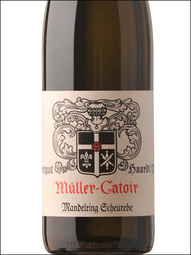 фото Muller-Catoir Scheurebe Mandelring Мюллер-Катойр Шойребе Мандельринг Германия вино белое