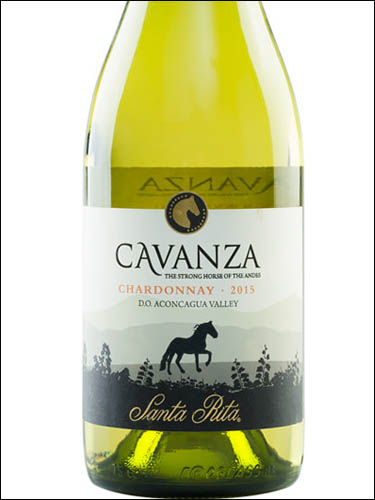 фото Santa Rita Cavanza Chardonnay Aconcagua Valle DO Санта Рита Каванса Шардоне Долина Аконкагуа Чили вино белое