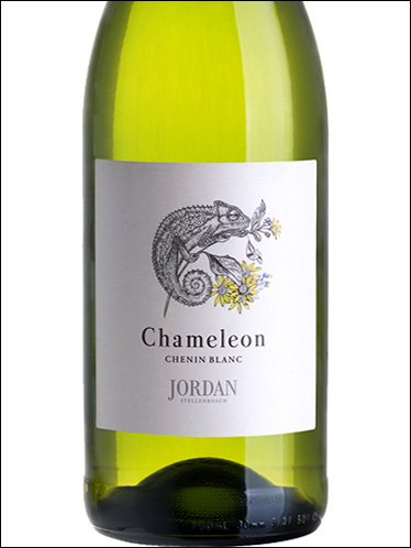 фото Jordan Chameleon Chenin Blanc Джордан Хамелеон Шенен Блан ЮАР вино белое