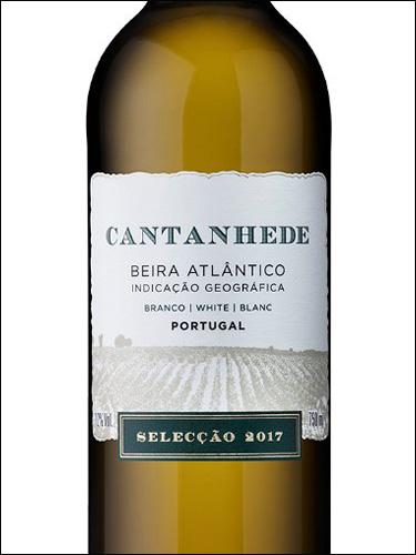 фото Cantanhede Branco Beira Atlantico IG Кантаньеде Бранку Бейра Атлантику Португалия вино белое