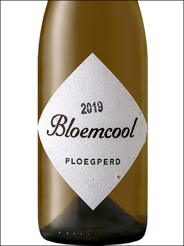 фото Bloemcool Ploegperd Блумкол Плугперд ЮАР вино белое