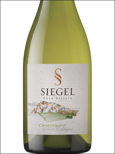 фото Siegel Gran Reserva Chardonnay Сигель Гран Резерва Шардоне Чили вино белое