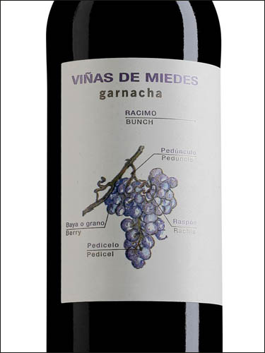 фото вино Bodegas San Alejandro Vinas de Miedes Garnacha Tinto Calatayud DO 
