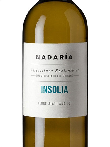 фото Nadaria Insolia Terre Siciliane IGT Надария Инзолия Терре Сичилиане Италия вино белое