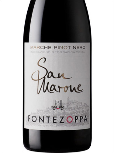 фото Fontezoppa San Marone Marche Pinot Nero IGT Фонтецоппа Сан Мароне Марке Пино Неро Италия вино красное