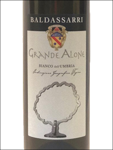 фото Baldassarri Grande Alone Umbria Bianco IGT Бальдассарри Гранде Алоне Умбрия Бьянко Италия вино белое