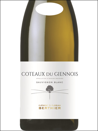 фото Clement & Florian Berthier Coteaux du Giennois Sauvignon Blanc AOC Клеман & Флориан Бертье Кото дю Жьенуа Совиньон Блан Франция вино белое