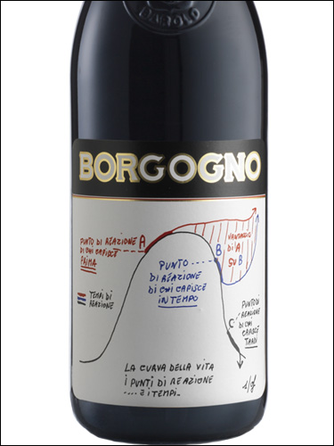 фото Borgogno Le Teorie Barolo DOCG Боргоньо Ле Теорие Бароло Италия вино красное
