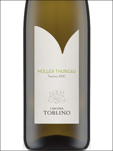 фото Cantina Toblino Muller Thurgau Trentino DOC Кантина Тоблино Мюллер Тургау Трентино Италия вино белое