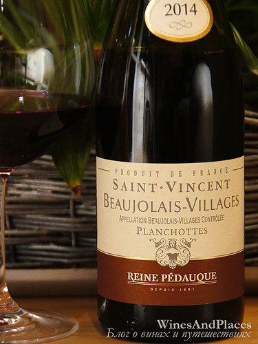 фото Reine Pedauque Saint Vincent Planchottes Beaujolais Villages AOC Рен Педок Святой Винсент Планшот Божоле Вилляж АОС Франция вино красное