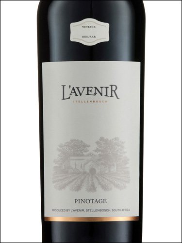 фото L’Avenir Pinotage Л'Авенир Пинотаж ЮАР вино красное